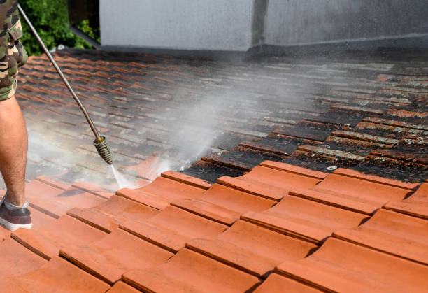 Best Pressure Washing Driveway  in Running Springs, CA